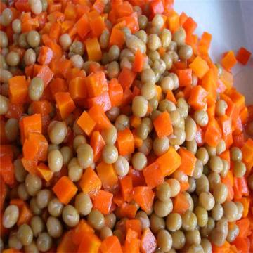 professional kinds of vegetable in tin with low price