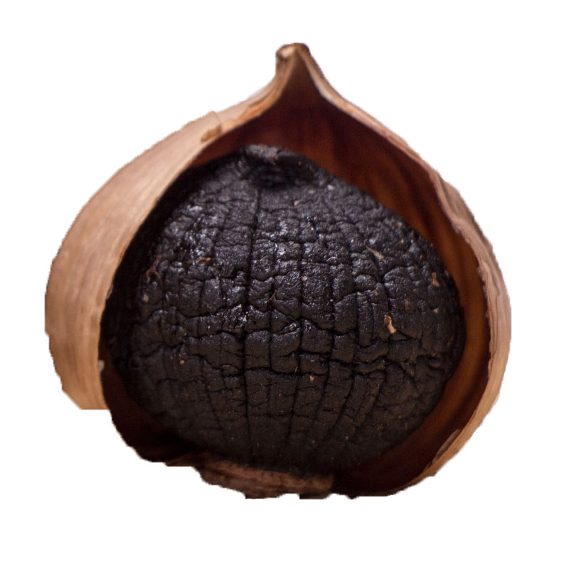 solo black garlic