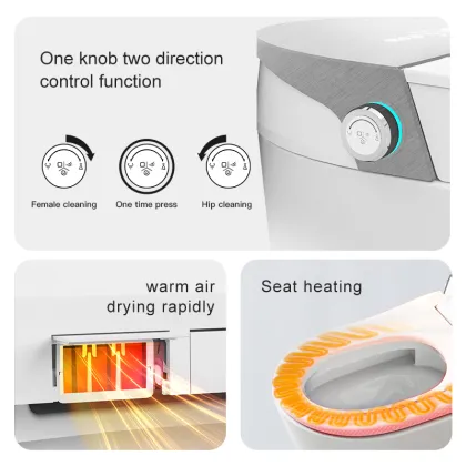 Intelligent Toilet: Advanced Features like Automatic Induction Flush, Integrated Sterilization, and Siphon Technology