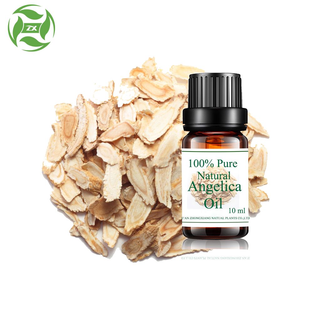 Wholesale Natural Chinese Herb Angelica Root Essential Oil