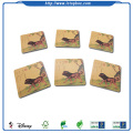 Cartone quadrato Coaster Set di 6