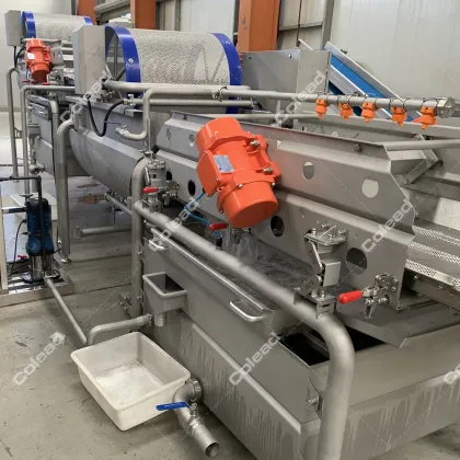 3000 kgs per hour Industrial Vegetable Washing Machine