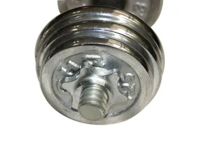 Stainless Steel Dumbbells