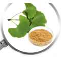 Ginkgo Biloba L inkgo biloba leaf extract powder