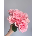 হারমোনি পিঙ্ক রোজ একক মাথার ফুল