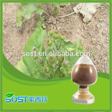 new product fresh burdock root extract