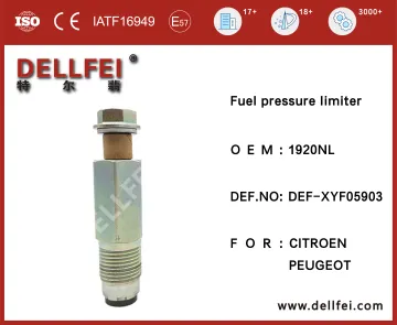 Pressure Limiting Valve 1920NL for CUMMINS