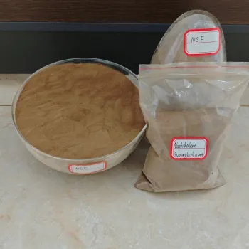 High Range Naphthalene Sulfonate Superplasticizer Powder SNF