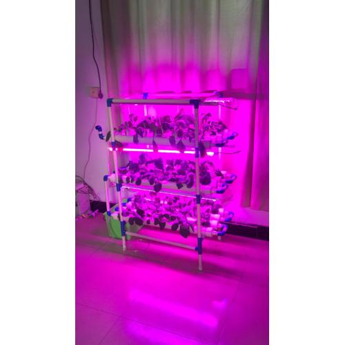 Sistema vertical hidropónico de interior con luces de cultivo LED