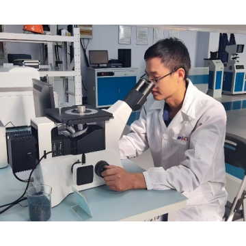 Metallographic Analysis