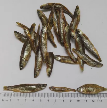 Popular cat snack wholesale cat treats 2017