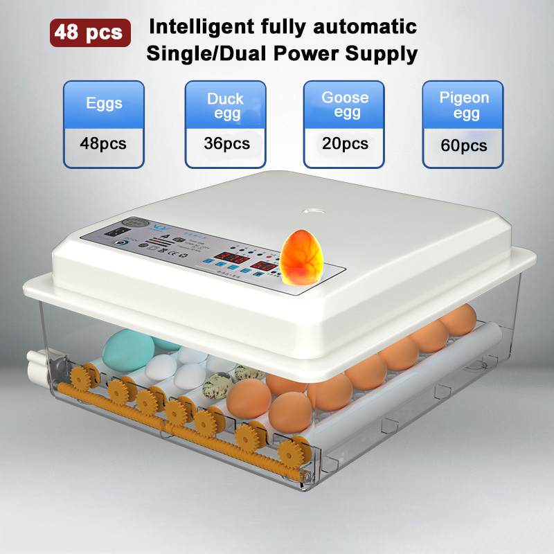 Small Home Egg Incubator Best Selling Automatic Smart Control Poultry Egg Incubator