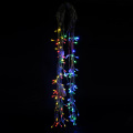 Luce corda del giorno di Natale a LED di controllo