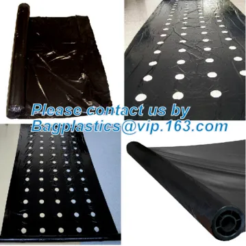 PE Mulching film, pe film, horticultural mulch film, garden perforated ground film, sheet, mulching films, agricultural mulching