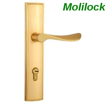 lock door and antique hardware lock