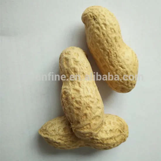 Best roasted peanut in shell with high quality