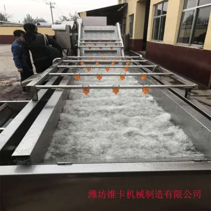 Dry and Wash Fruits and Vegetables Line: Dragon Fruit/Pitaya Washing Machine