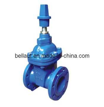 Rising Stem Gate Valve