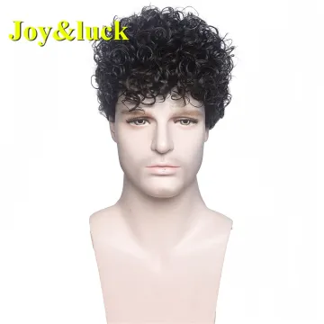Male Wholesale Price Wig for Man Hair Men's Black Color Men Wig Natural Brown Afro Short Curly Synthetic Hair Wigs