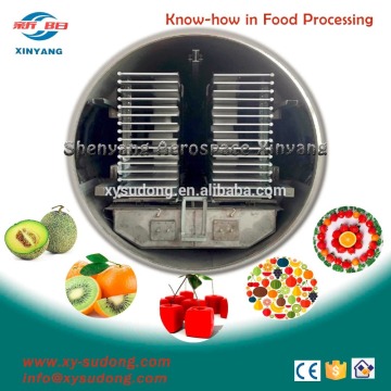 Continuous fruit vacuum freeze dryer