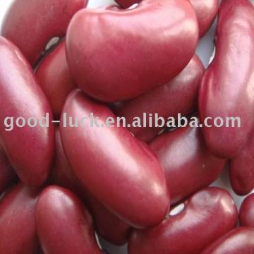 2010 crop British dark red kidney bean