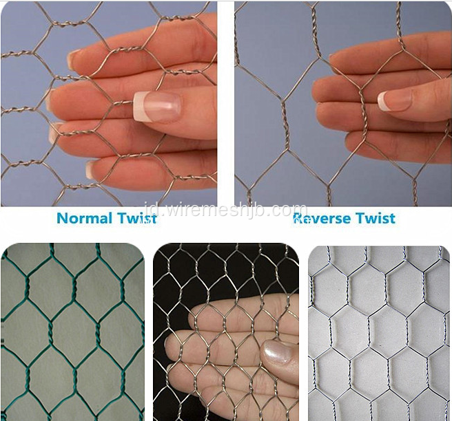 PVC Coated Hexagonal Wire Netting Untuk Kandang Unggas