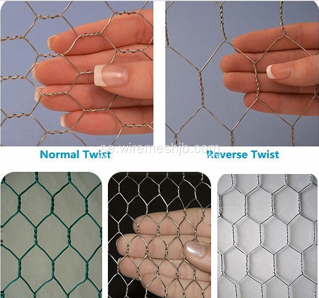 PVC-belagd hexagonal trådnät för fjäderfä Coop