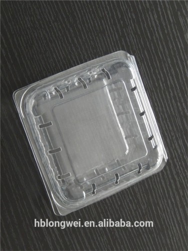 PET plastic transparent clam shell fruit packaging