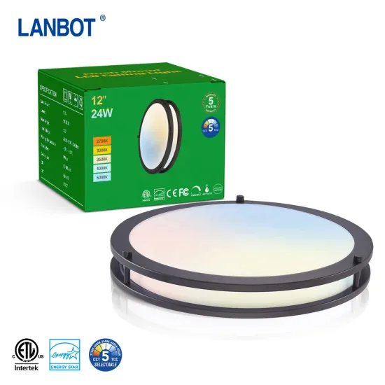 Professional 5.8Ghz Microwave Motion Sensor Round Ceiling Lamp - LED Indoor Light & Motion Sensor Ceiling Fixtures