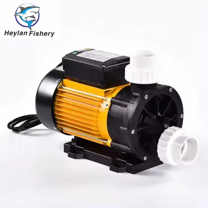 RAS Aquaculture Sea Water Pump - Seawater Plastic Pump with AC Motor