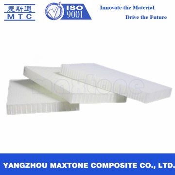 Polypropylene Honeycomb Sheet for Ship/Truck/Cabinet Panel