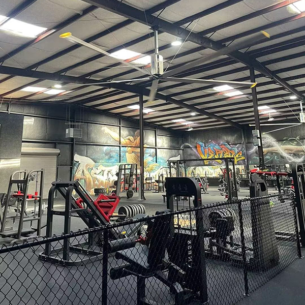 American gym ceiling fan case