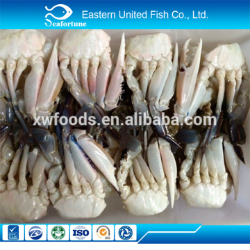 alibaba gold supplier export crabs