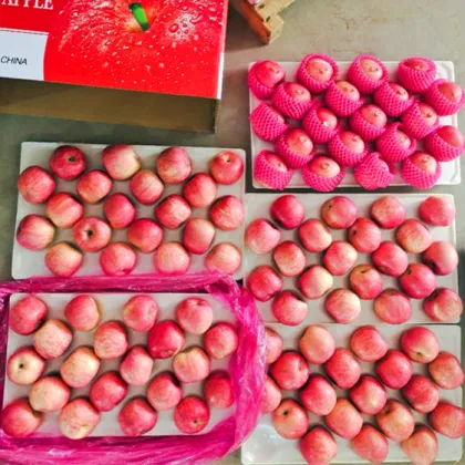 Yan Tai Paper Bagged Fuji Apples