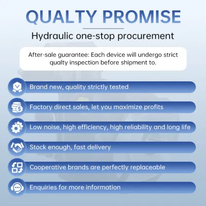 Rexroth Eaton Hydraulic Solenoid Valves for Vickers DSG 4WE Directional Control Valve