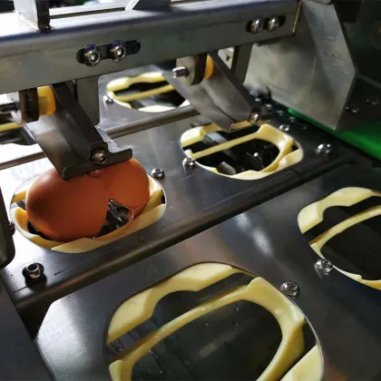 Stainless Steel Electric Egg Beater & Separator