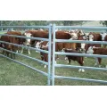 Australia Cattle Farm Equipment Rails cerca de los paneles de ganado