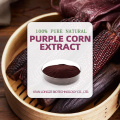 Pure natural Purple Corn Extract Powder Anthocyanin