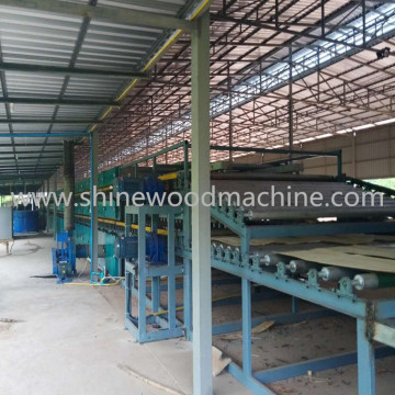 Face Beech Veneer Drying Machine Cost