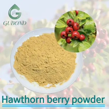 Hawthorn Spray Dried Fruit Powder