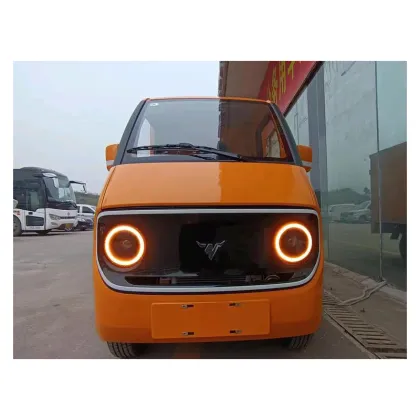 D02 van-type comfortable electric vehicle
