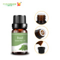 Therapeutic grade wholesale OEM natural basil essential oil