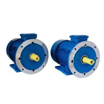 Moteur à aimant permanent XTPMP160L30-22