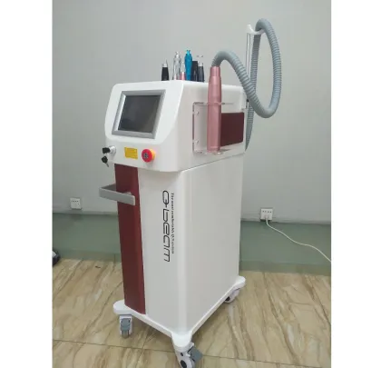 2022 New Year Sale: Pico Laser for Tattoo, Freckle, and Spot Removal - Pico Machine Prices