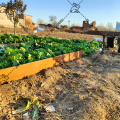 Home garden for lawn edging