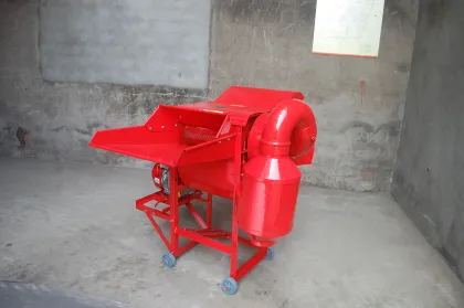 Wheat Grain Food Grade White Wheat Grain Russian