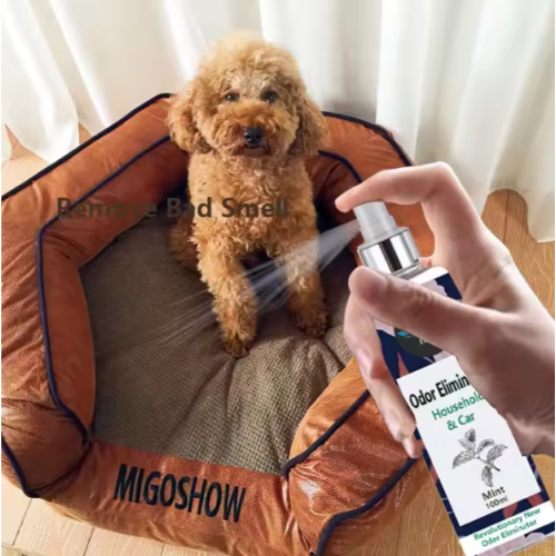 Основной нейтрализующий спрей для дыма и запахов