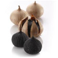 Oxidant Single Clove Black Garlic With FDA