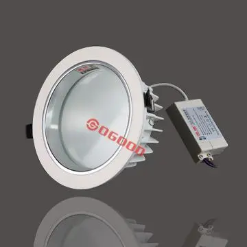 external driver LED downlight 20w