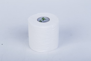 hotel toilet tissue